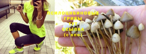 МДМА Алексеевка
